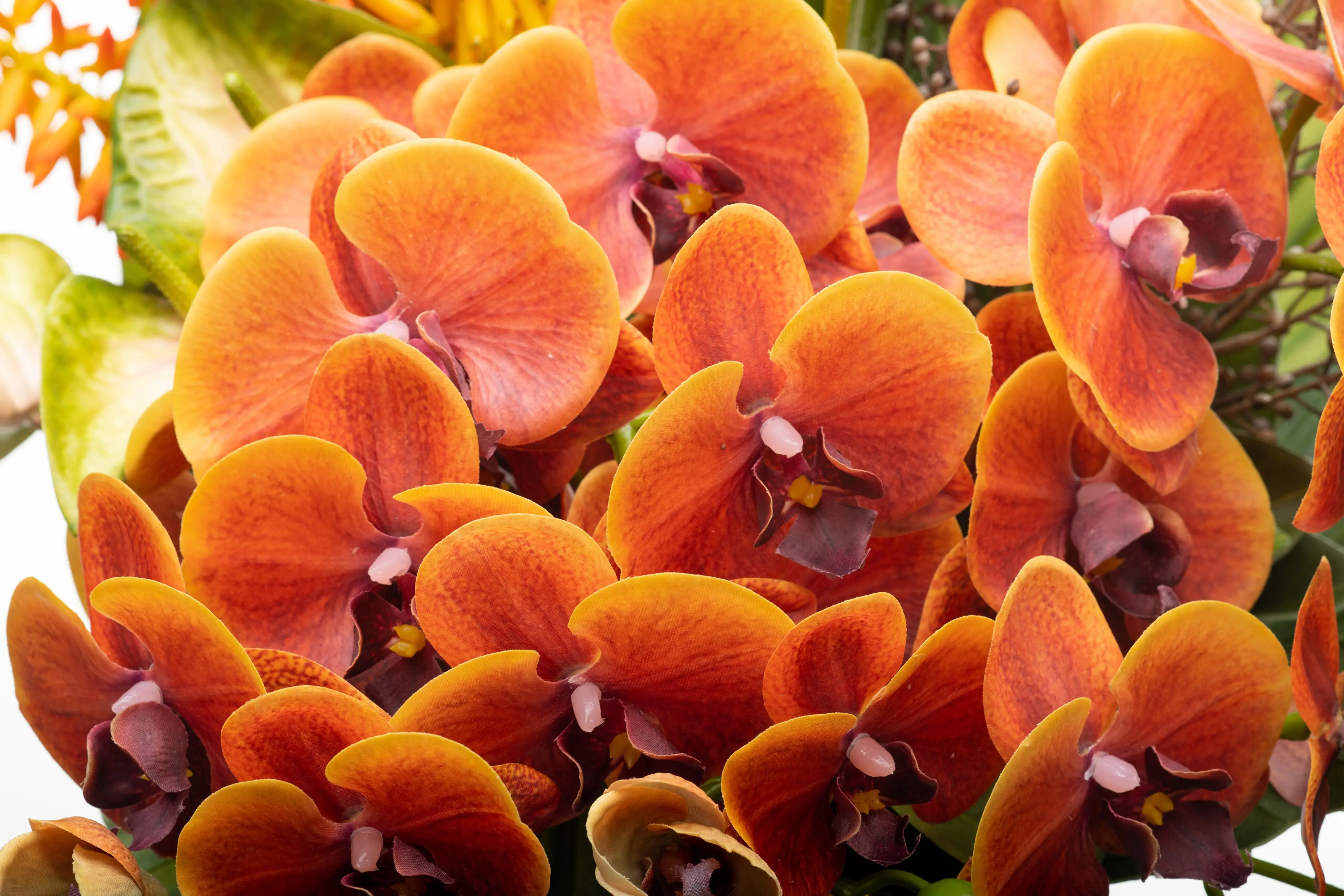 CTA Background Image